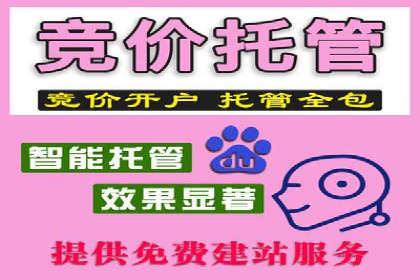 竞价推广SEM托管成功案例：从零到一的突破